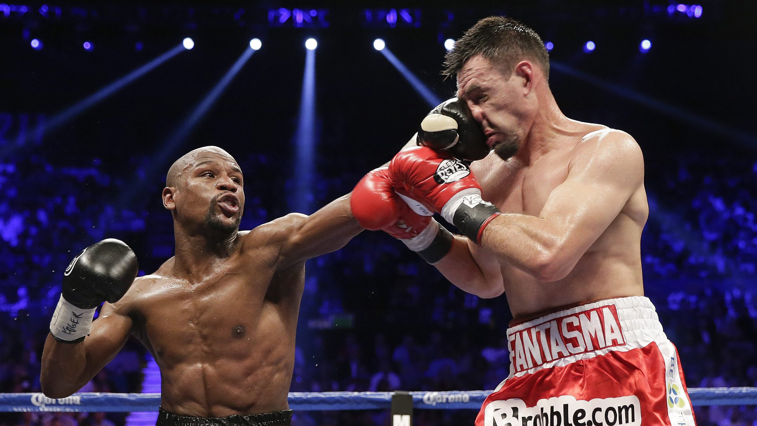 《FIFA》电子竞技联盟年度盛典，粉丝热情高涨，fifa20电竞比赛