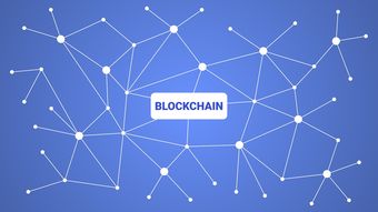 KAIYUN 中国大陆-英超青训引入虚拟现实技术强化战术理解，英超青训最好的球队