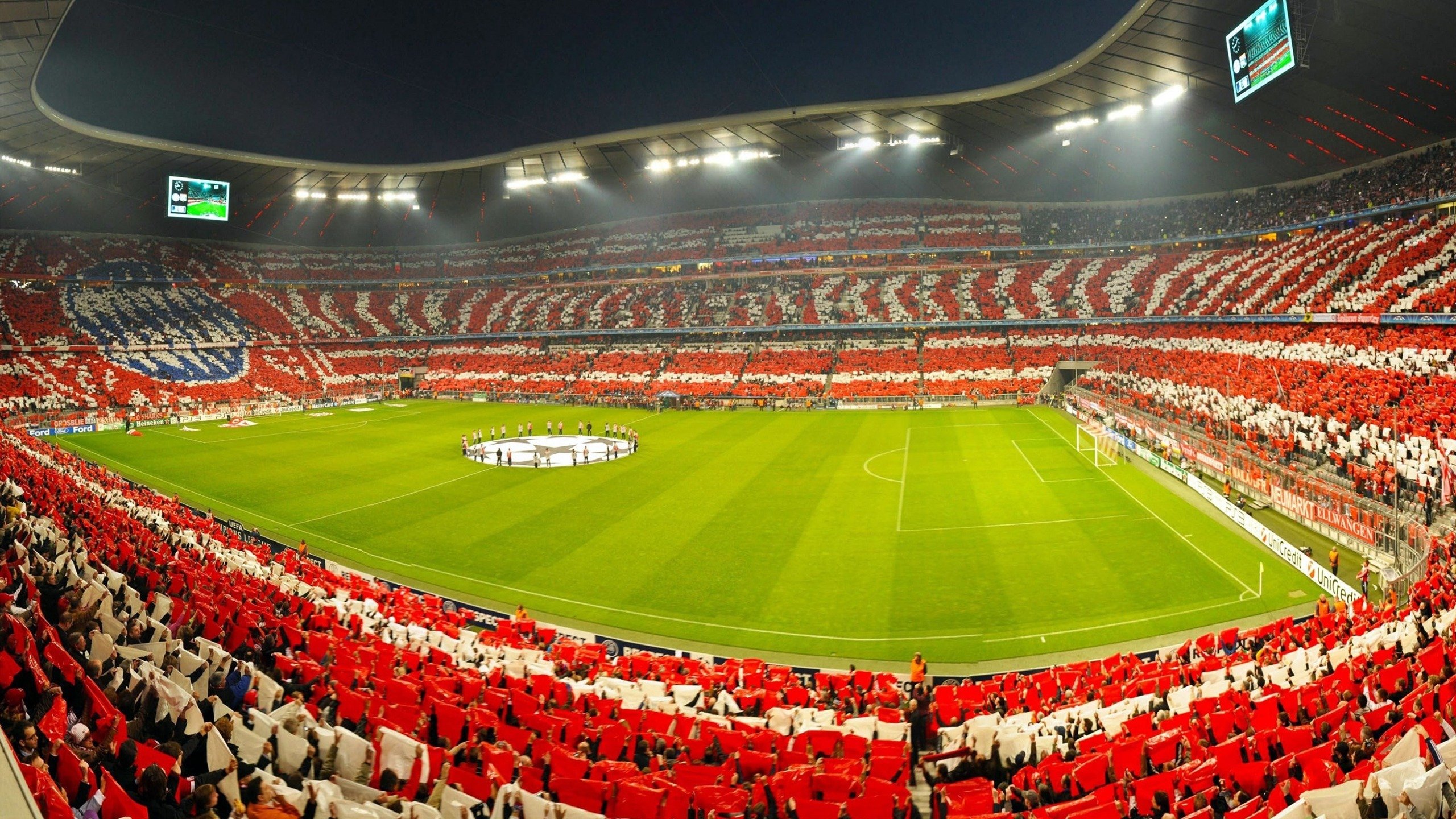 “美洲狮队表现超群，成为橄榄球未来竞争者之一”