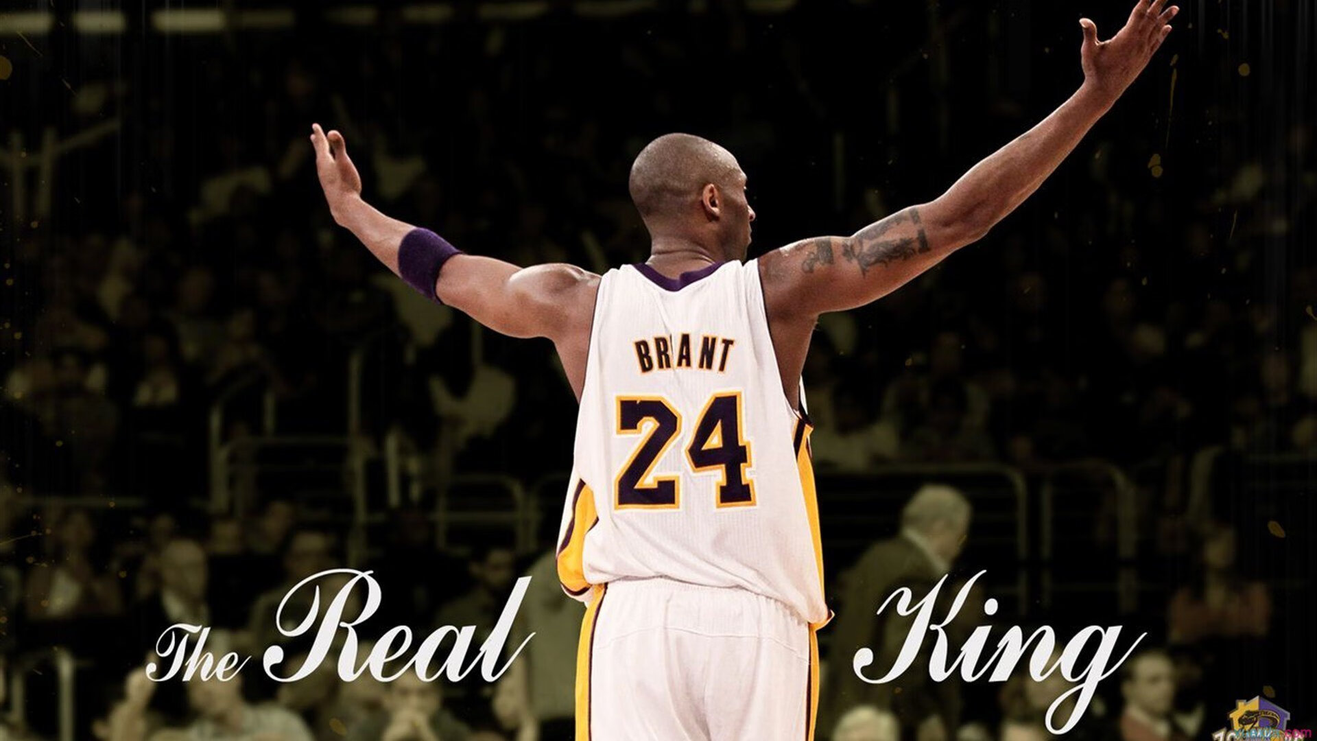 “武汉马拉松赛场，极速飞驰的新星即将诞生”